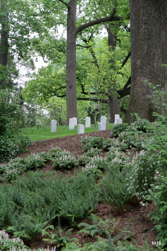 Arlington Cemetery