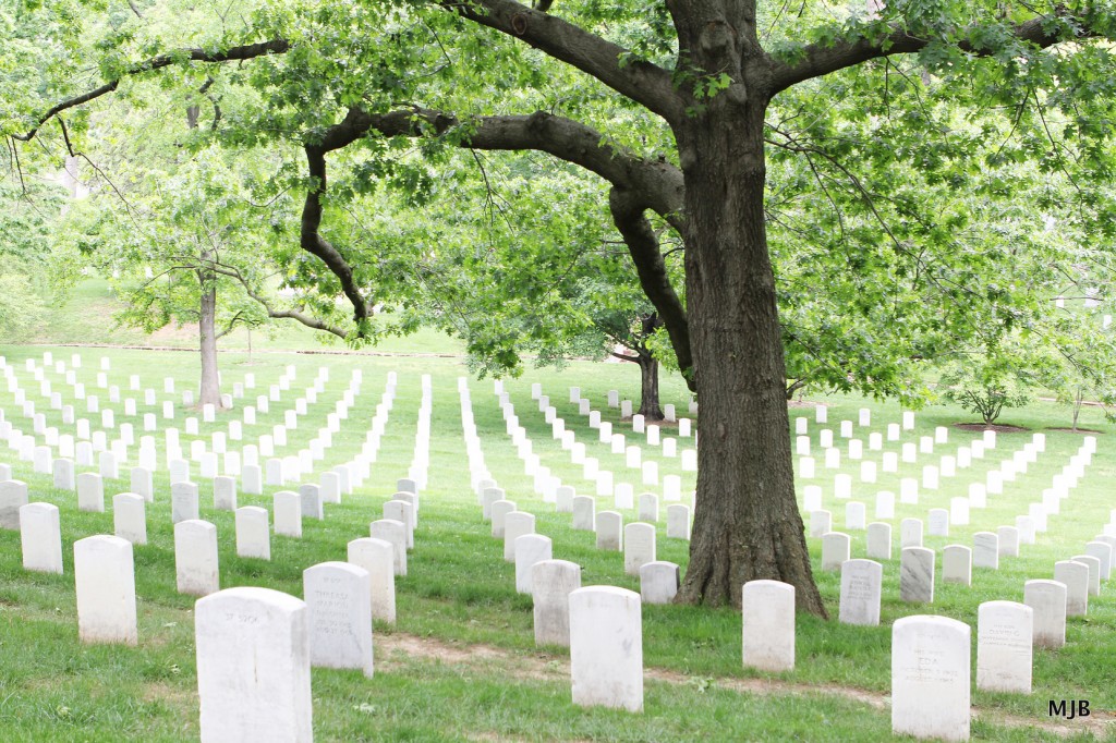 Arlington Cemetery