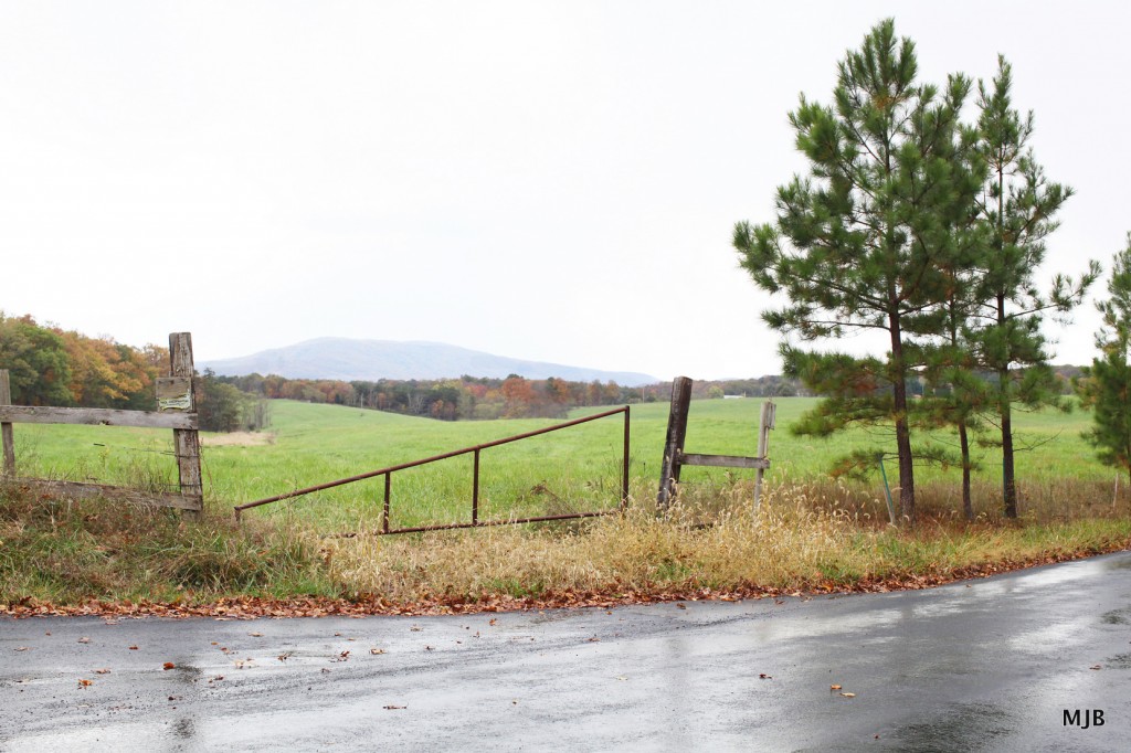 scenic back roads