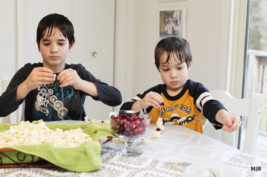 cranberries and popcorn