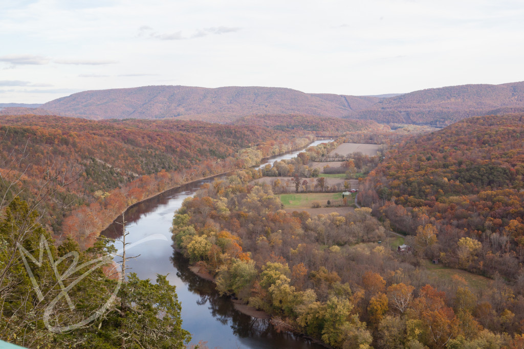 Green Ridge State Forest Maryland (12 of 36)