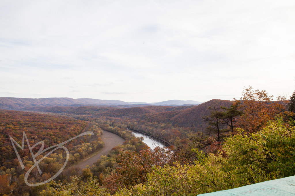 Green Ridge State Forest Maryland (14 of 36)