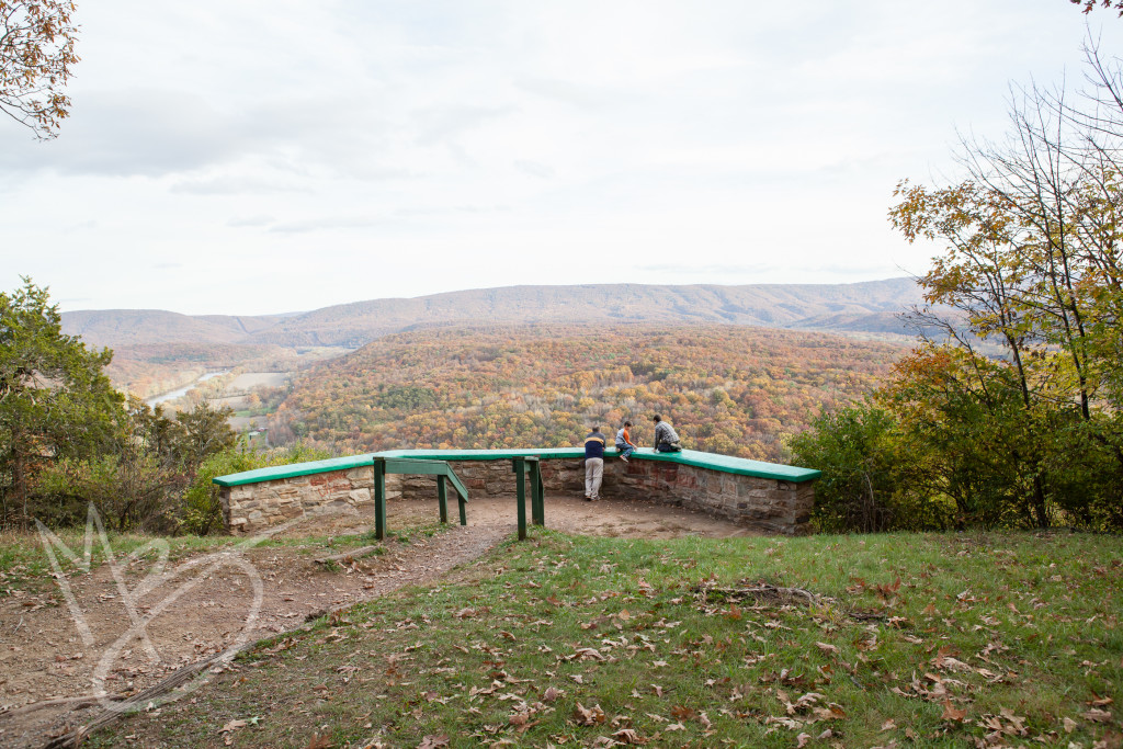 Green Ridge State Forest Maryland (26 of 36)