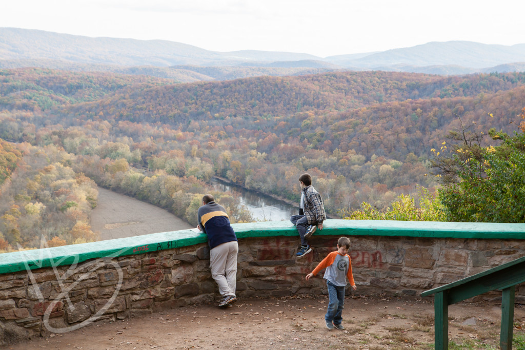 Green Ridge State Forest Maryland (27 of 36)