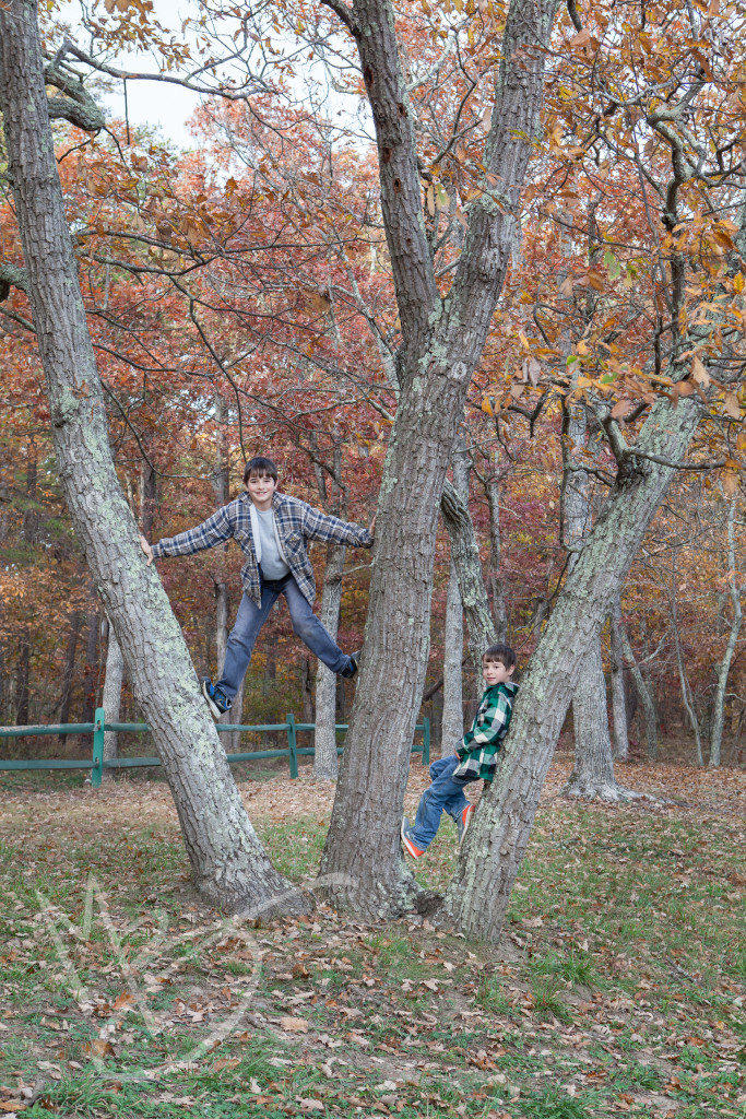 Green Ridge State Forest Maryland (28 of 36)