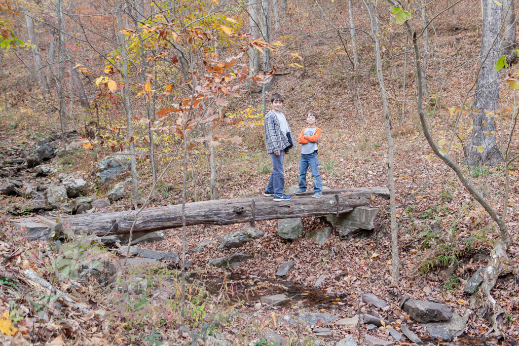 Green Ridge State Forest Maryland (33 of 36)