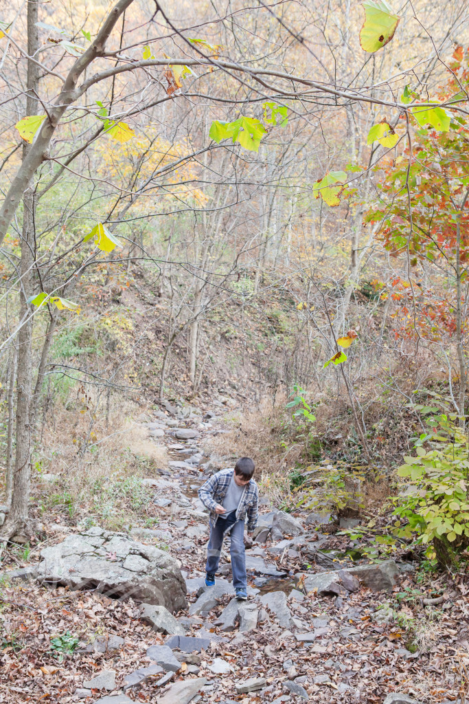 Green Ridge State Forest Maryland (34 of 36)