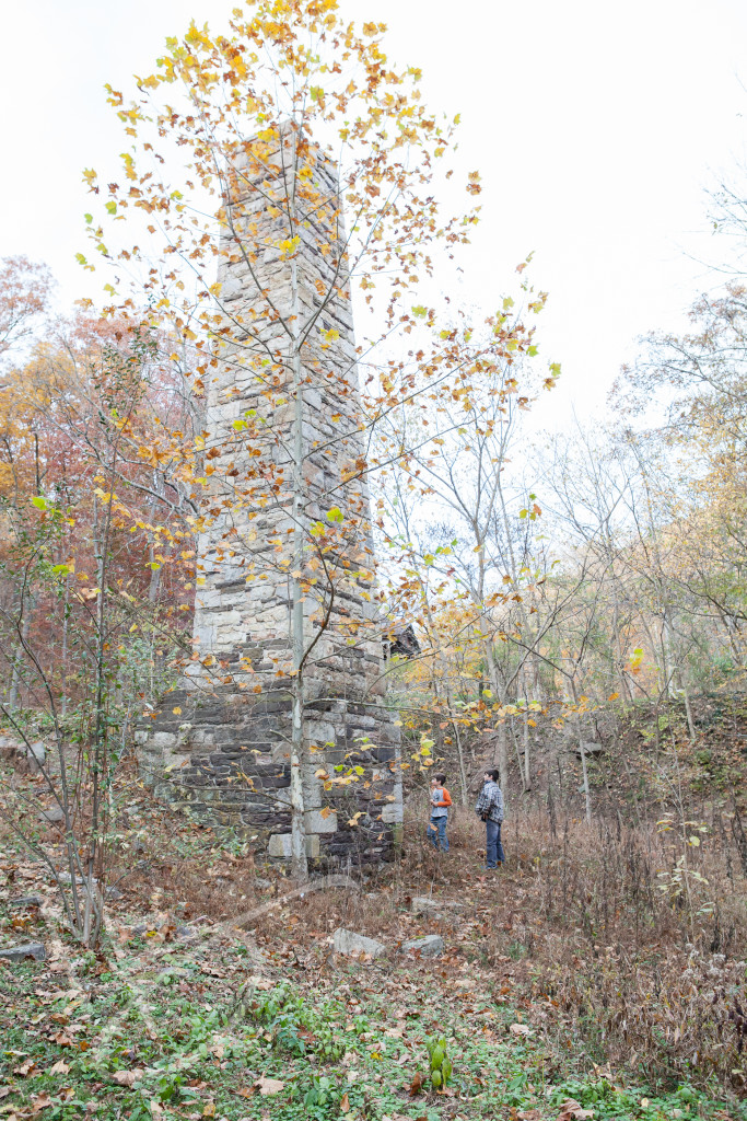 Green Ridge State Forest Maryland (35 of 36)