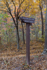 Green Ridge State Forest Maryland (5 of 36)