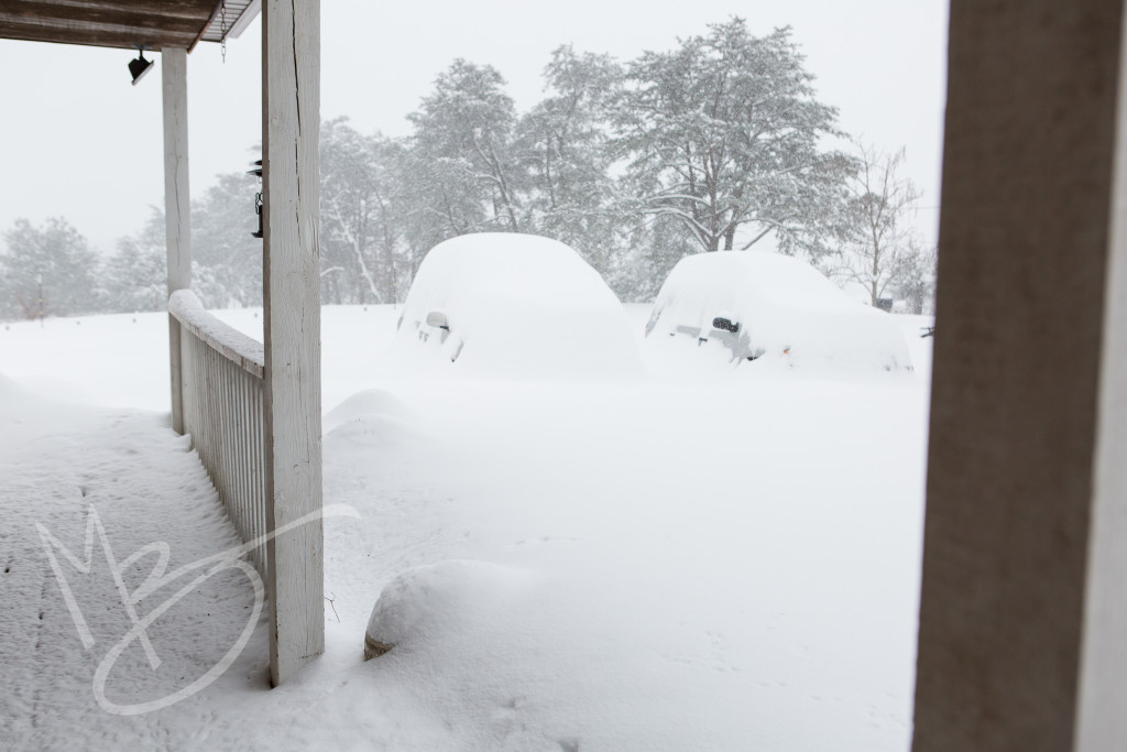 storm Jonas (2 of 1)