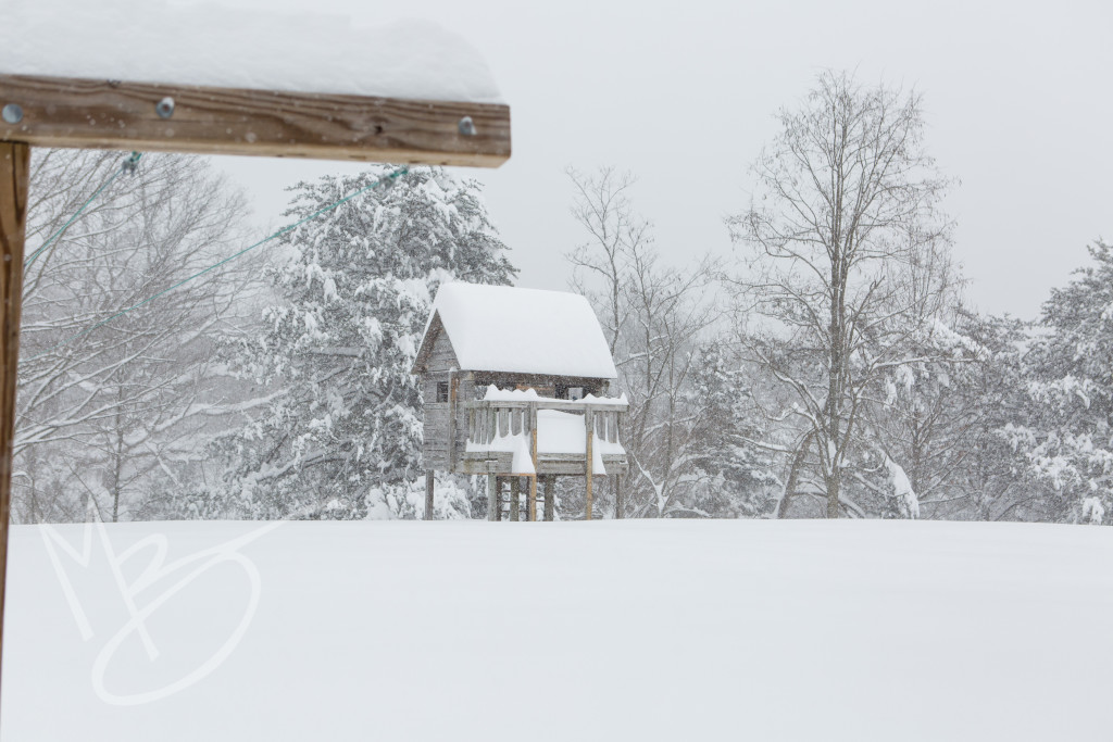 storm Jonas (3 of 1)