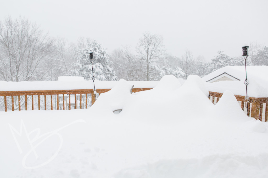 storm Jonas (4 of 1)