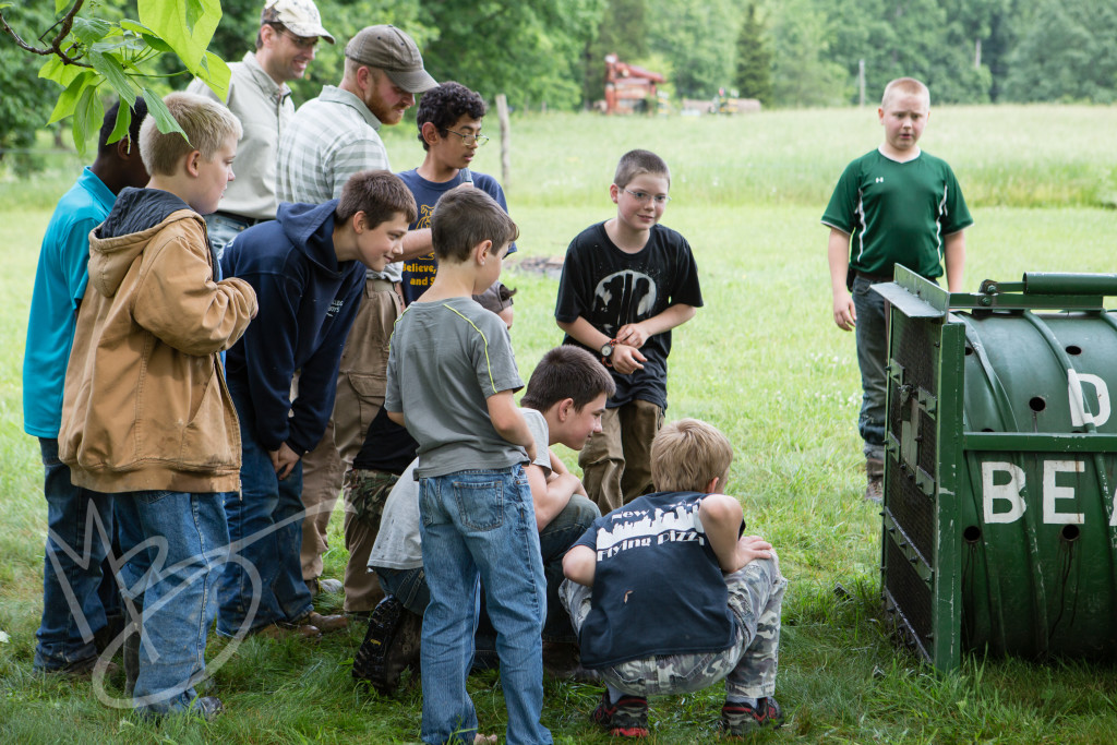 black bear (49 of 298)