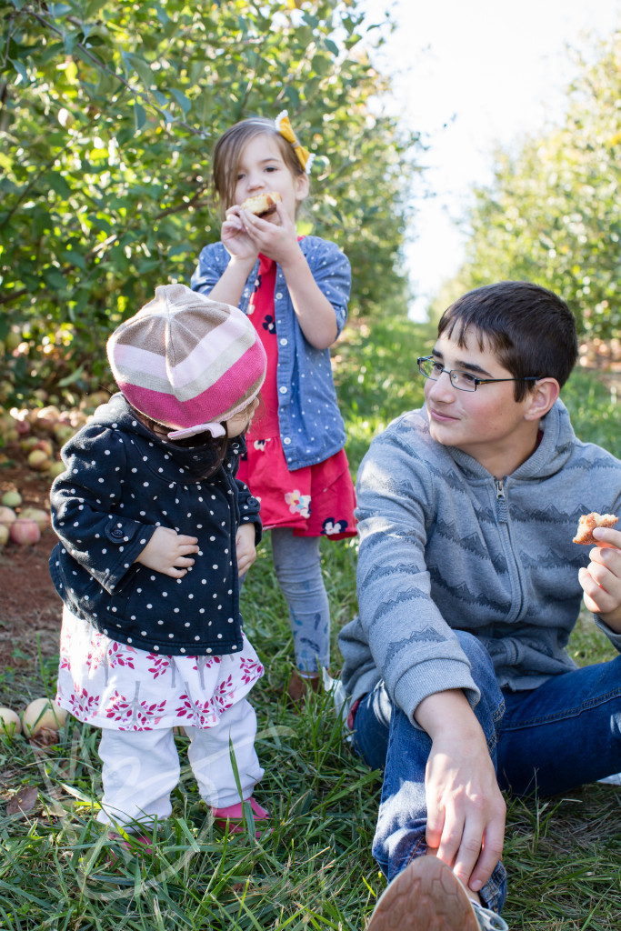 carters mountain orchard (1 of 1)