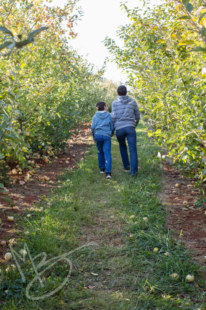 carters mountain orchard (11 of 1)