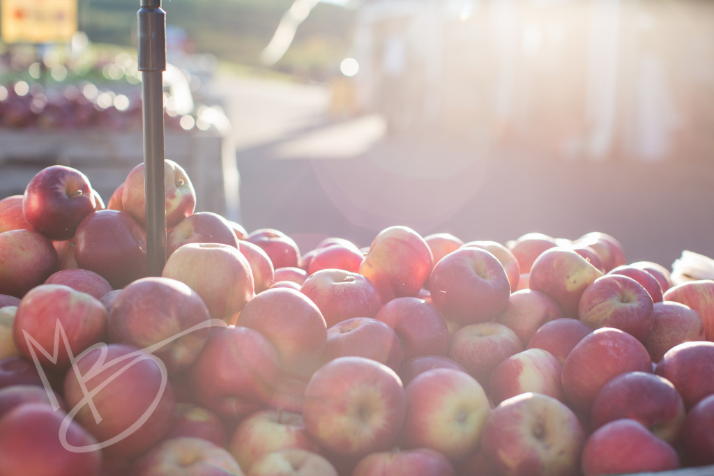 carters mountain orchard (12 of 1)