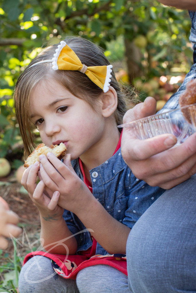 carters mountain orchard (2 of 1)