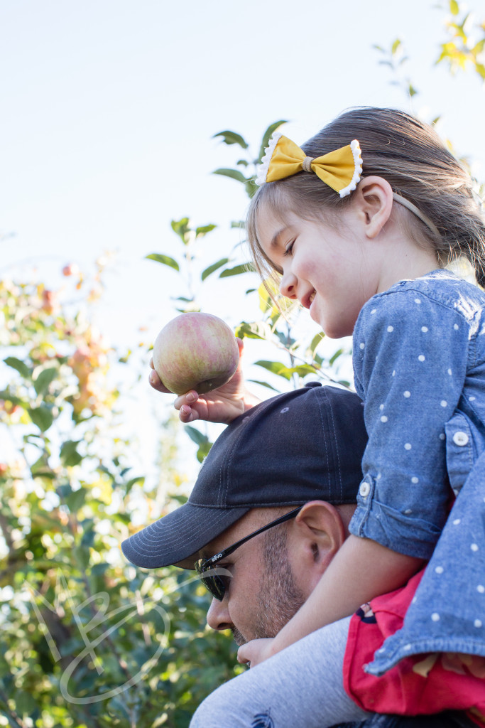 carters mountain orchard (4 of 1)