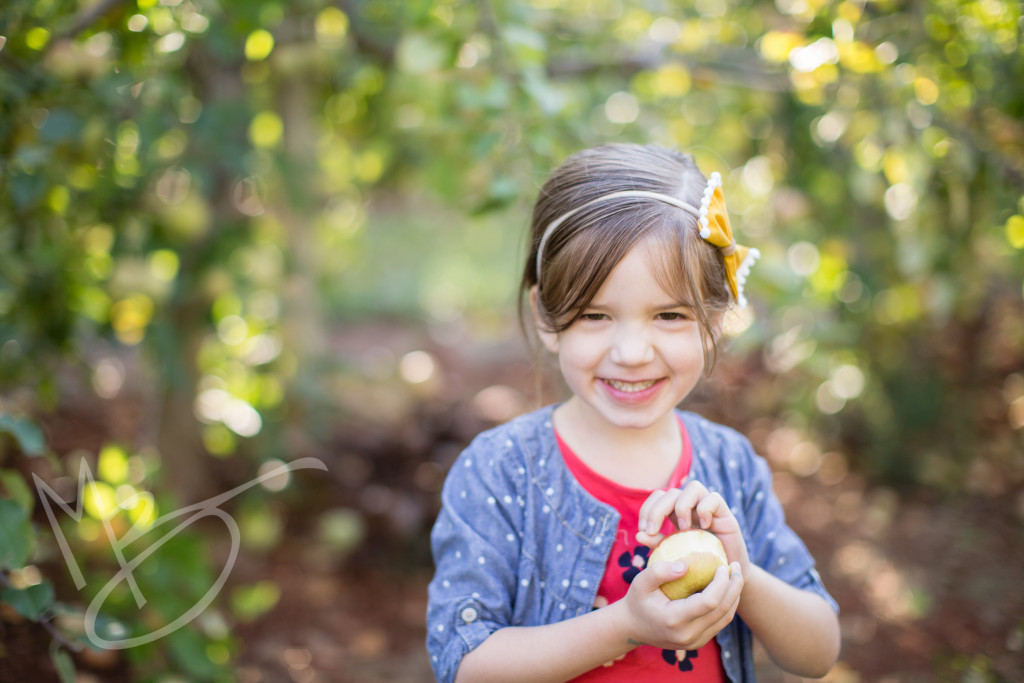 carters mountain orchard (6 of 1)