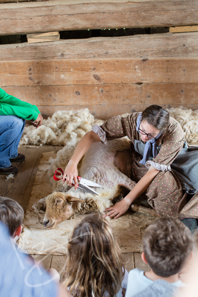 frontier culture museum (6 of 15)