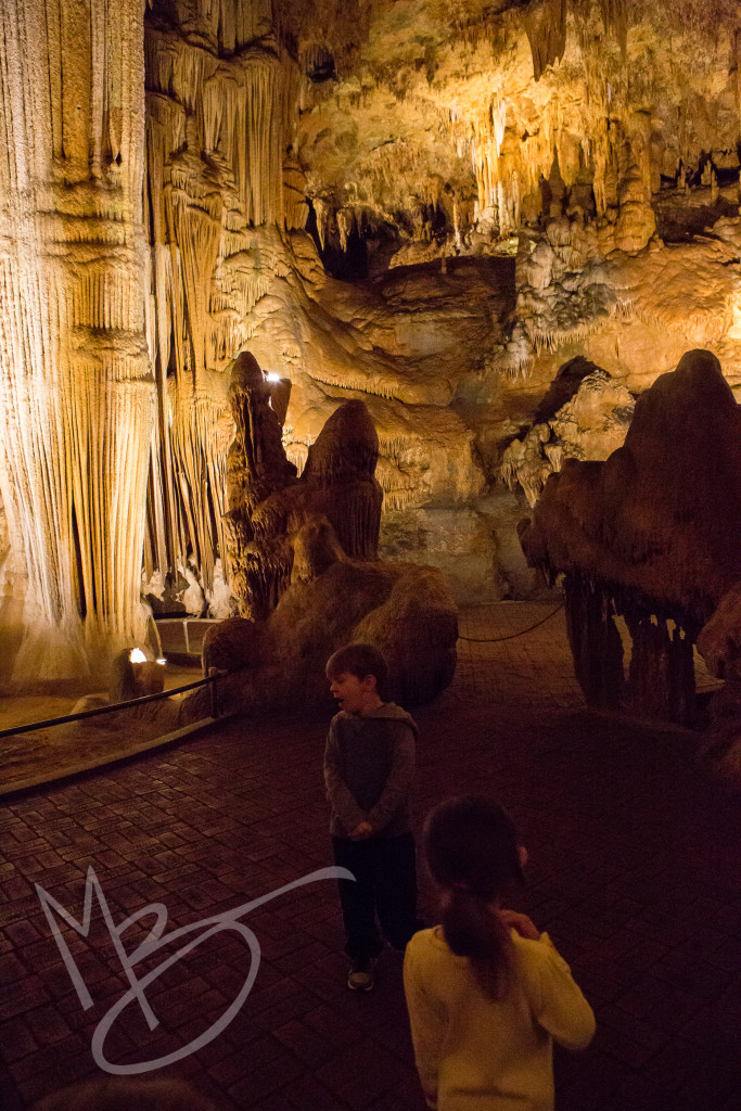 luray caverns (51 of 51)