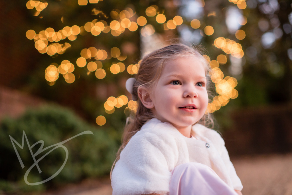 family photographer Charlottesville (40 of 41)